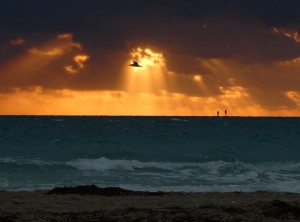 Miami Beach