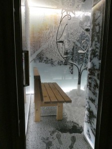 Thermal Area - Snow Room