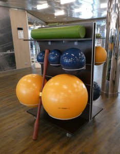 MSC Gym