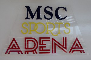 MSC Sports Arena