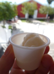 eine Pina Colada als Kostprobe
