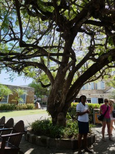 Nelson´s Dockyard
