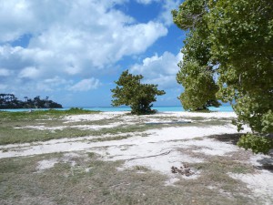 Valley Church Beach