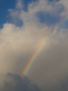 Regenbogen