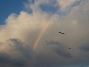 Regenbogen