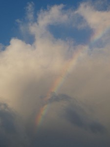 Regenbogen