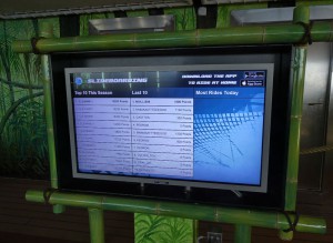 Interactive Slide