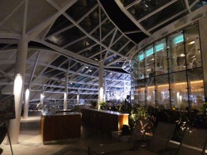 Solarium Deck 15