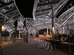 Solarium Deck 15