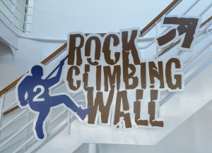 Rock Climbing Wall