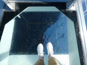 King of the World