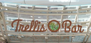 Trellis Bar