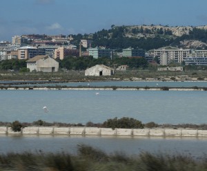 Salinen mit Flamingos
