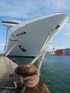 MSC Divina