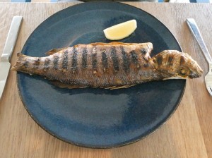 Fresh of the hook - Branzino