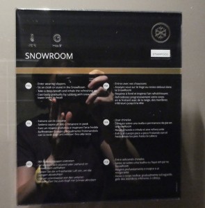 Thermal Area Snow Room