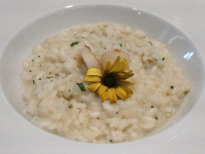 Creamy Carnoli Risotto with Aromatic Herbs