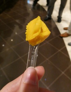 Mangosorbet