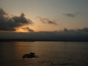 Sonnenaufgang oder nicht