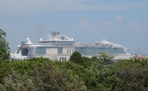 ein Schiff im Grünen
