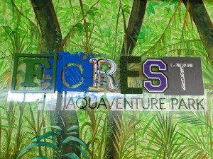 Forest Aquaventure Park