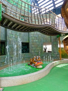 Forest Aquaventure Park