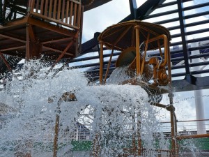 Forest Aquaventure Park