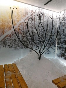 Thermal Area Snow Room