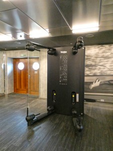 MSC Gym by TechnoGym