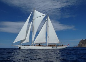 S.Y. Rhea