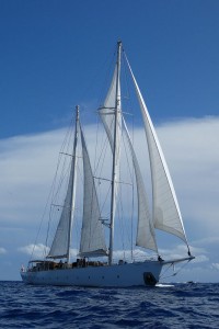 S.Y. Rhea