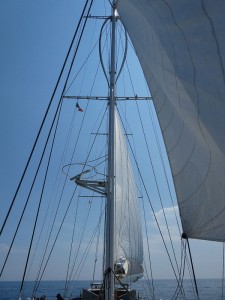 S.Y. Rhea unter Segeln