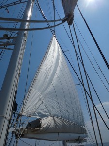 S.Y. Rhea unter Segeln