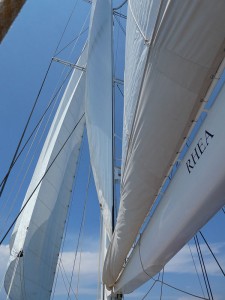 S.Y. Rhea unter Segeln