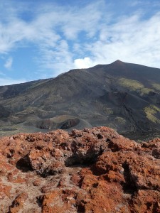 Blick nach oben