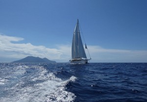 S.Y. Rhea