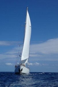 S.Y. Rhea