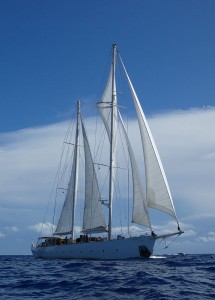 S.Y. Rhea