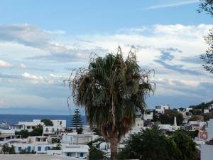 Panarea