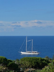 Blick auf die S.Y. Rhea