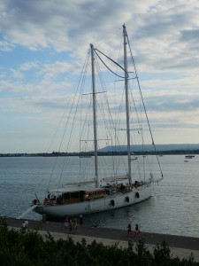 S.Y. Rhea