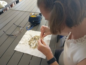 Muschelarmband basteln