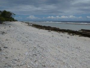 Ozeanseite des Atolls