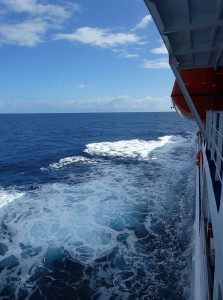 Deck 5