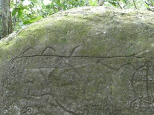 Fisch