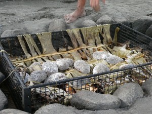 Schwein aus dem Erdofen