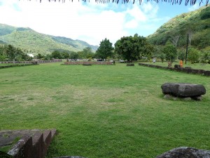 Tohua Te Aitua