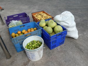 Frisches Obst kommt an Bord