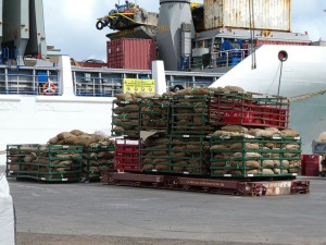 Kopra in Säcken wartet