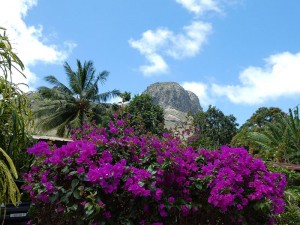 Blick zum Berg